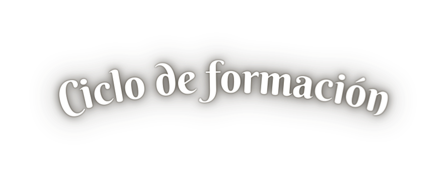 Ciclo de formación