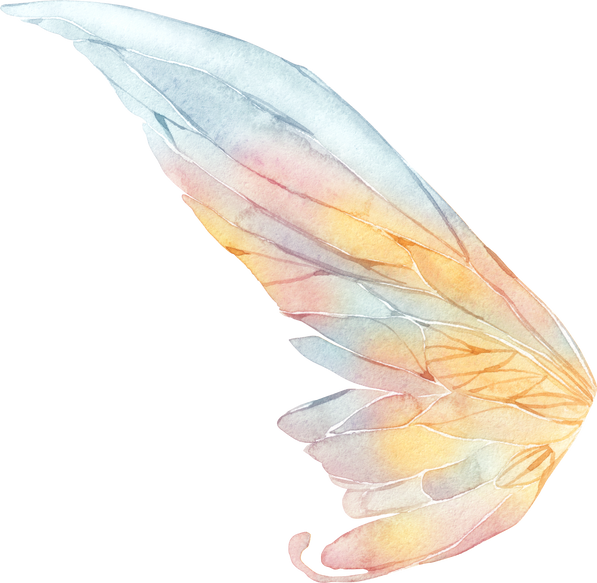 Fairy Tale Royal Princess Watercolor Bird Feather Wing