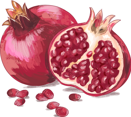 Painterly Hanukkah Pomegranate Fruit